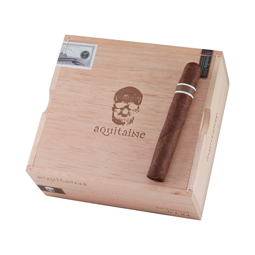 RoMa Craft CroMagnon Aquitaine Cranium 6" * 54