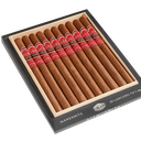 Southern Draw Manzanita Lancero